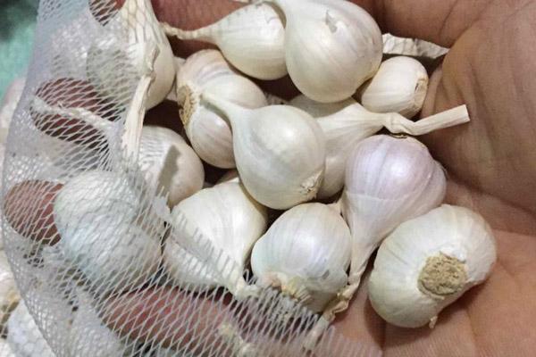 Cách làm cá hấp xì dầu mềm thơm, đậm đà hấp dẫn-4