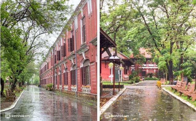 Du khách khóc thét vì chuyến đi bão tố Huế - Đà Nẵng mấy ngày qua!-9