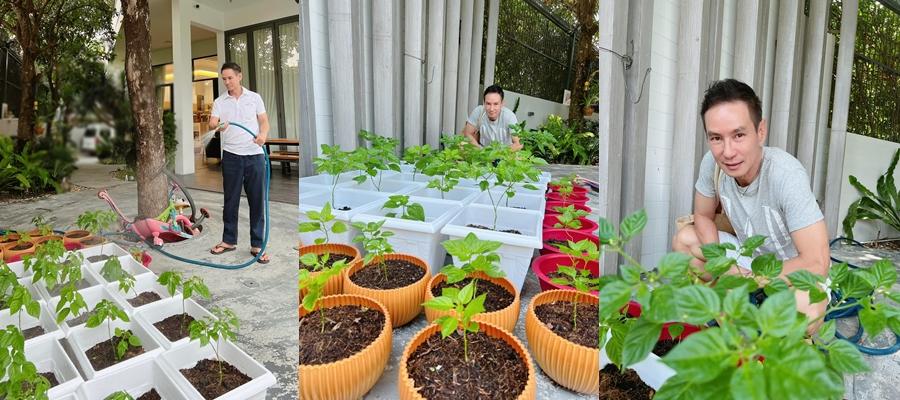 Tuấn Hưng tặng vợ biệt thự ven biển nhân kỷ niệm ngày cưới-9