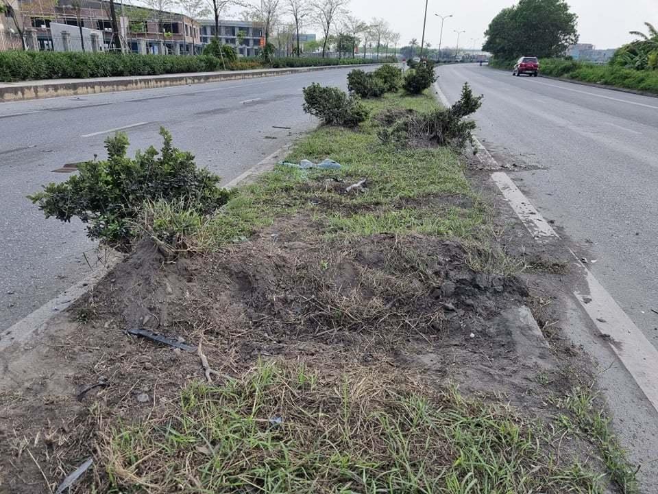 Hiện trường tai nạn khiến vợ chồng nguyên Bí thư Ninh Bình qua đời-4