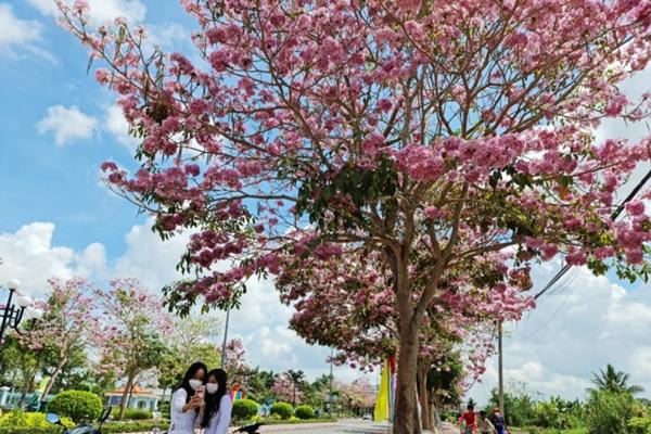 Hai cung đường Việt Nam lọt top 10 nơi ngắm cảnh đẹp nhất châu Á-3