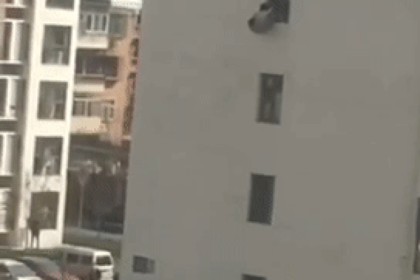 Trung Quốc phát hiện ca mắc cúm gia cầm H3N8 ở người đầu tiên trên thế giới-2