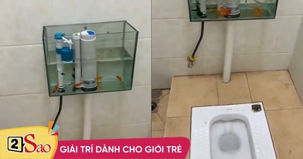 Fish toilets wade around, no one dared to flush after going to the toilet!