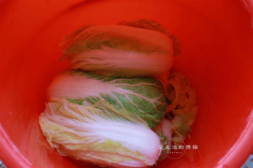 How to make silage cabbage without salt, no scum-3