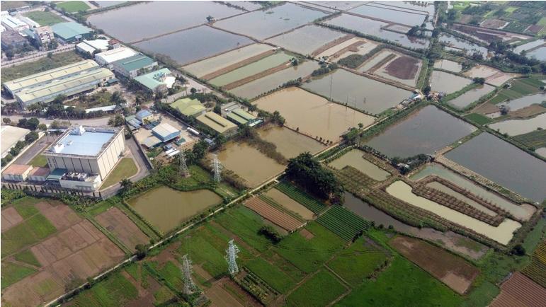 Hà Nội: Bé trai 12 tuổi chết đuối trong khu dự án đấu giá đất-1