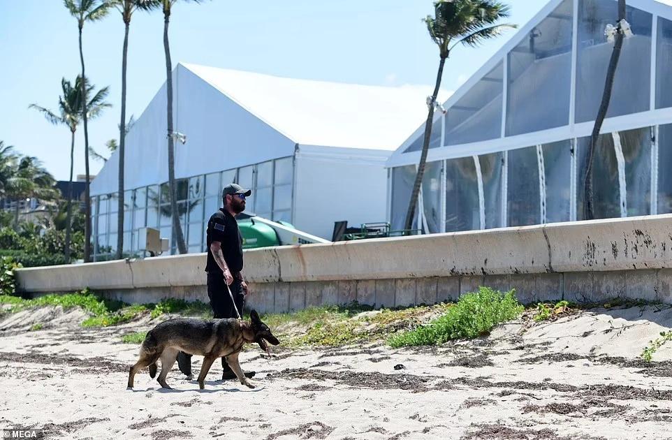 Brooklyn Beckham lo lắng trước lễ cưới-1