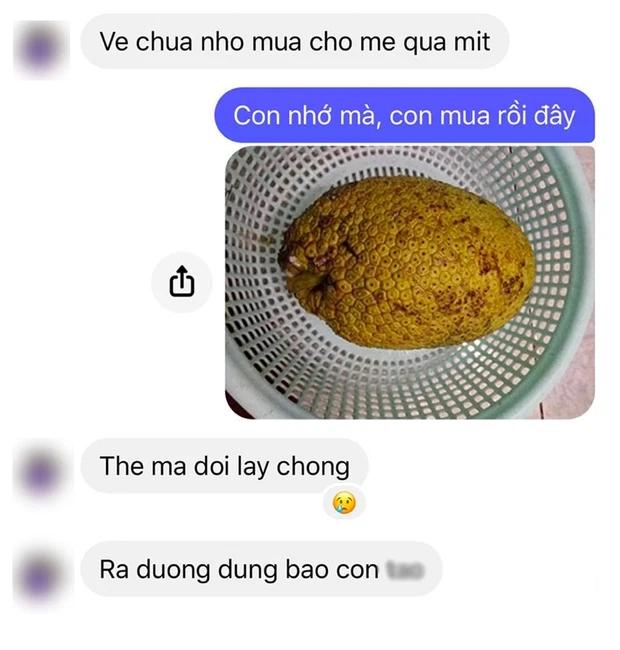 Mẹ nhờ mua quả mít, cô gái gửi ảnh xác nhận ai ngờ bị mắng té tát-1