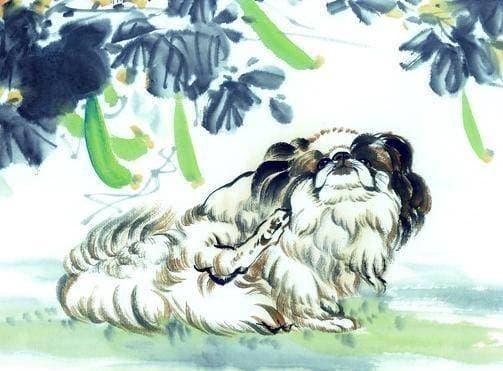 Quý 2/2022: 3 con giáp nở rộ đào hoa, vận may khởi sắc, tài chính suôn sẻ-1