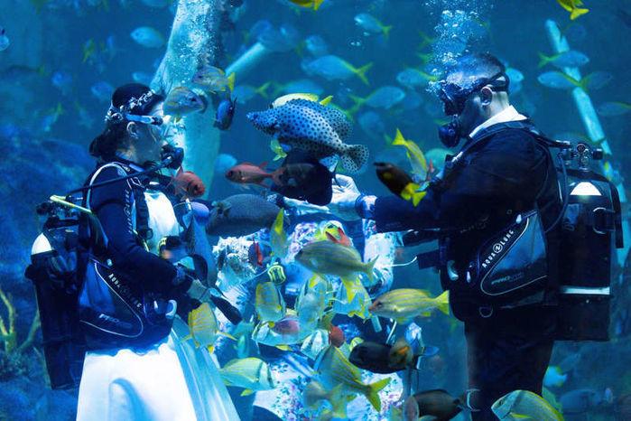 Các ý tưởng đám cưới ngoài sức tưởng tượng, khách nào dám quên!-2