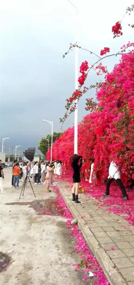 Seamless virtual live confetti located close to Hanoi shimmering like abroad-1
