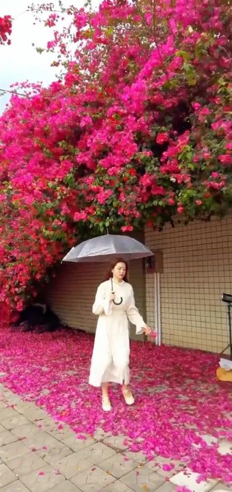 Dàn hoa giấy sống ảo nằm sát Hà Nội lung linh như ở nước ngoài-2