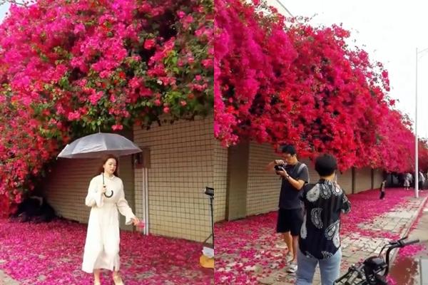 Ngôi làng cuối cùng còn sót lại giữa Singapore hoa lệ-9