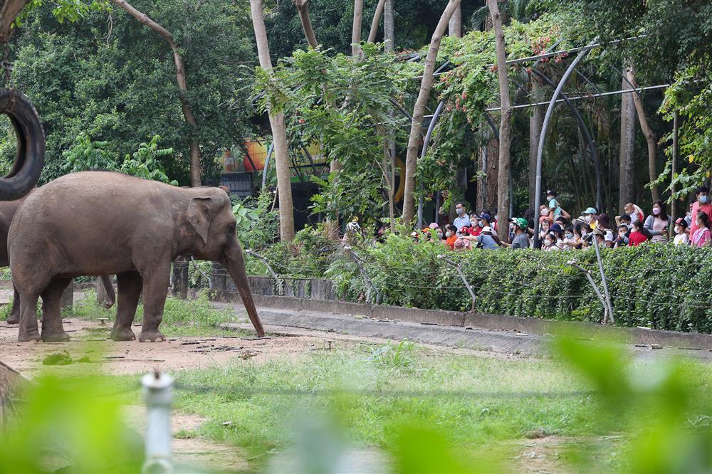 Thảo Cầm Viên Sài Gòn đông nghẹt người vào cắm trại dịp giỗ Tổ-7