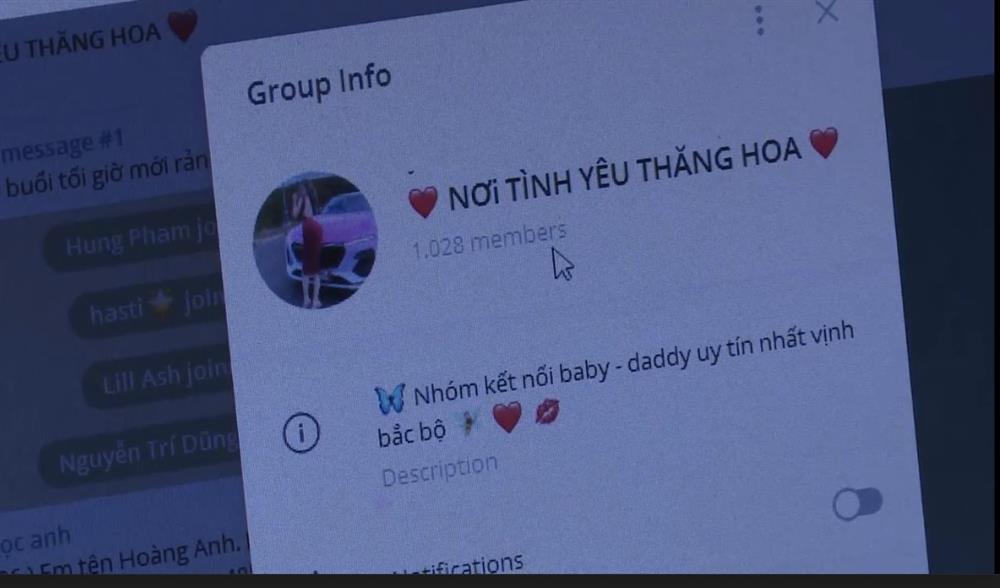 Lời khai tú ông đứng sau đường dây tình - tiền giá 20 triệu-2