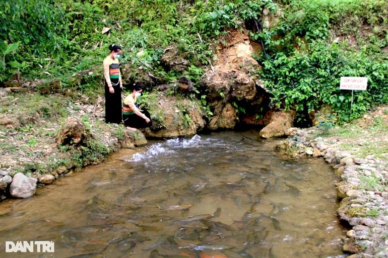 Suối cá thần thứ 3 ở Thanh Hóa và câu chuyện kỳ bí về bà cá chúa-1