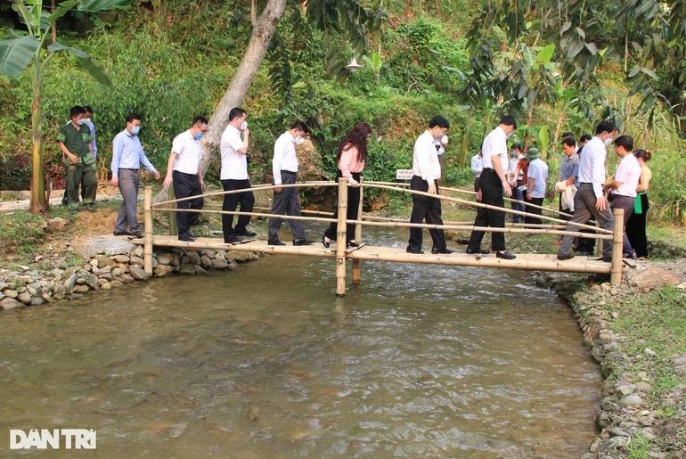 The 3rd magic fish stream in Thanh Hoa and the mysterious story of the queen fish-3