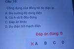 Nhìn câu hỏi môn Công nghệ, học trò 'té ngửa' khi biết ý nghĩa thâm sâu