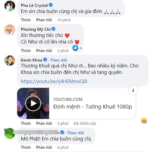 Vietnamese stars mourn the death of singer Nhu Quynh's younger brother-3