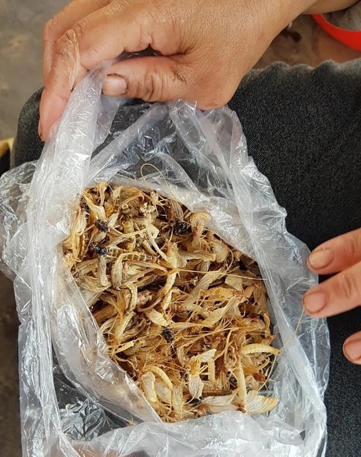 Con vật vờ ở sông Hồng: Sống vài giờ nhưng lưu danh đặc sản-5