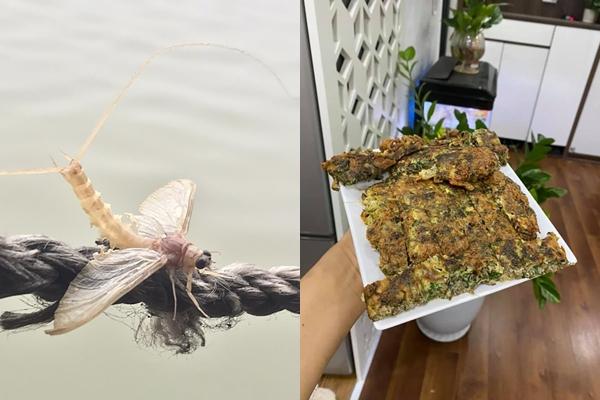 Đặc sản chùa Hương vào mùa, dân Hà thành xếp hàng canh mua-3