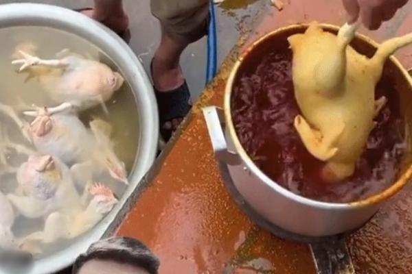 Tranh cãi nhúng gà vào nồi chất lỏng, vài giây sau đổi màu vàng ươm-1