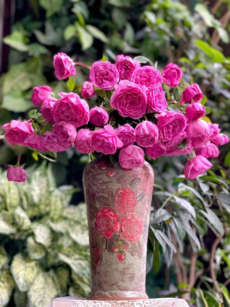 Những bình hồng rực rỡ vợ xoa dịu tâm hồn chồng khô khan-9