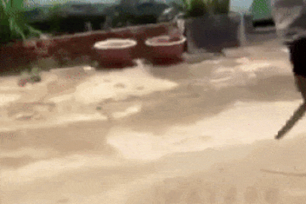 Clip: Thanh niên đi ăn cưới, trộm đống phong bì giấu vào chỗ nhạy cảm-4