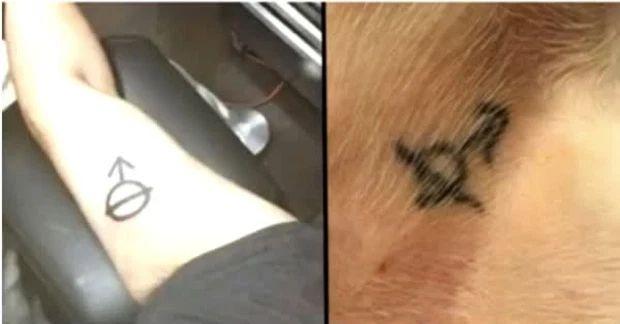 Những pha bốc đồng trong giây lát để rồi nhận lại cái kết ê chề-9