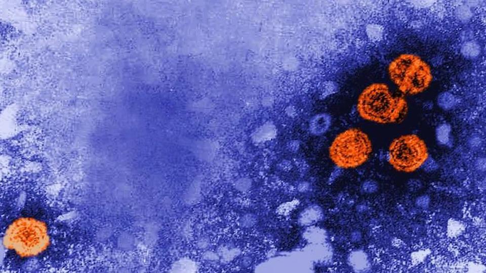 Hàng loạt trẻ em ở một số nước bị viêm gan không rõ nguyên nhân-1