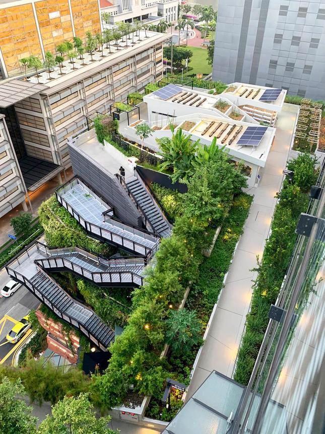 Du lịch Singapore không cần cách ly: Nhiều điểm check-in mới xịn sò-7