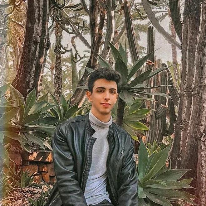 Loạt idol tóp tóp đã triệu follow còn học giỏi-4