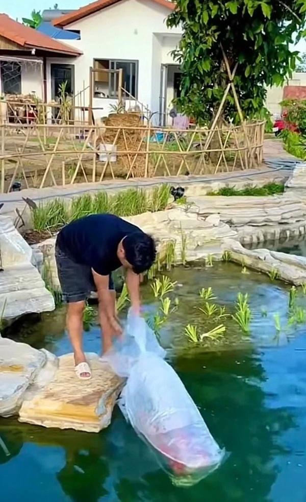 Không gian xung quanh biệt thự được thiết kế theo kiểu sân vườn, hòa cùng thiên nhiên.