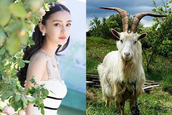 Nhà có 3 con giáp đổi vận phát tài, tiền vàng ú ụ trong năm 2022-4