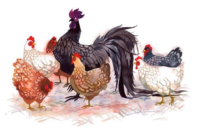 4 con giáp sống hào phóng rất được bạn bè yêu quý-2