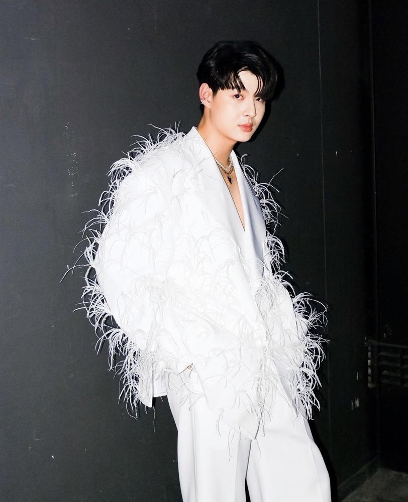 NTK Vương Khang tố ekip nam diễn viên Chiếc Lá Cuốn Bay đạo nhái-5