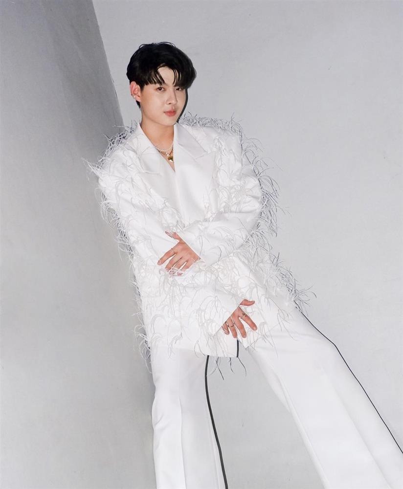 NTK Vương Khang tố ekip nam diễn viên Chiếc Lá Cuốn Bay đạo nhái-6