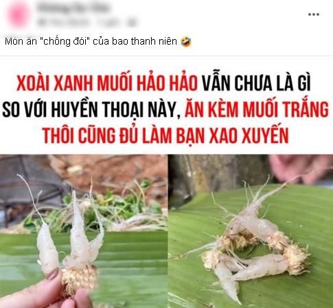 Thứ cây gắn liền tuổi thơ, nhiều người tiếc hùi hụi vì chưa từng được ăn-1