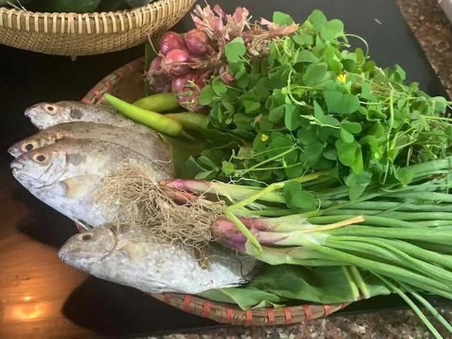 Thứ cây gắn liền tuổi thơ, nhiều người tiếc hùi hụi vì chưa từng được ăn-6