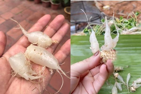 Món ăn béo ngậy mà thế hệ 8X-9X phải vét cạn nồi vì quá ngon-8