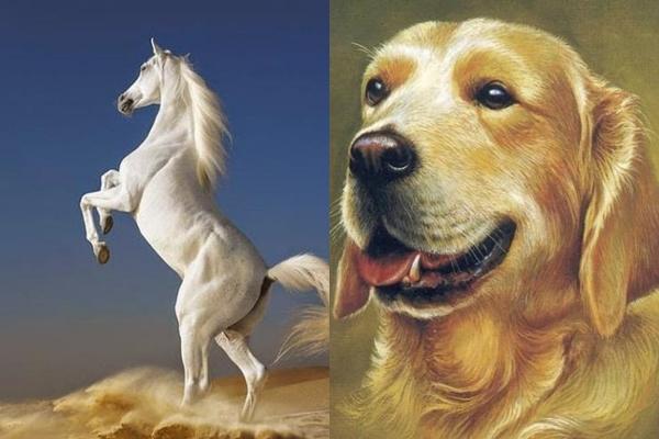 Tử vi hàng ngày 12 con giáp thứ Năm 21/4/2022: Tuất gây trọng tội-5