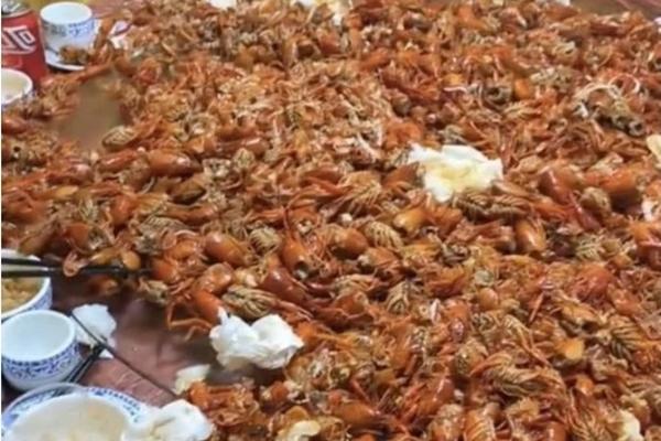 Nam thanh niên bị cấm đến nhà hàng buffet vì ăn sập tiệm người ta-8