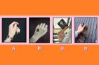 Trắc nghiệm: Bàn tay tiết lộ chân dung bạch mã hoàng tử bạn mơ ước