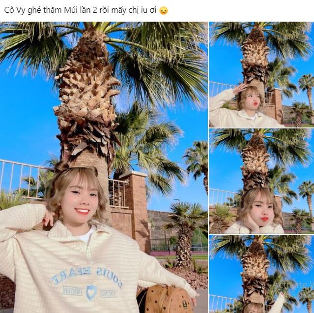 Múi Xù gặp hạn trước thời điểm chuyển phôi thai-2