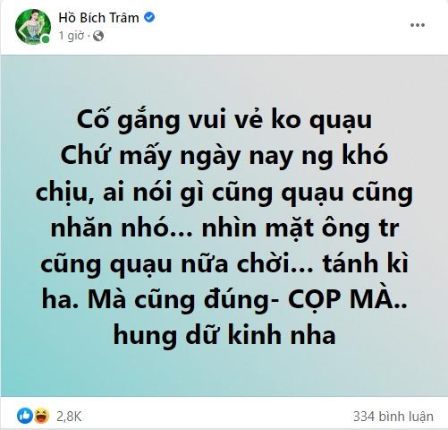 Hồ Bích Trâm thay đổi tính cách hoàn toàn khi bầu bí-2