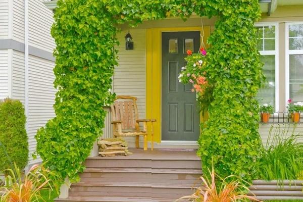 The main door feng shui helps to attract money from the world