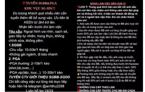 Phá đường dây sugar baby nhiều chân dài, MC ở TP.HCM-2