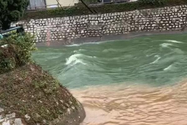 Đà Lạt mùa hè vẫn đẹp rụng rời bởi màu sắc ngọt ngào hoa phượng hồng-9