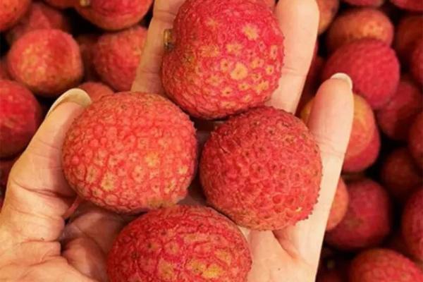 Gia chủ đốt siêu xe vàng mã, có cả chi tiết ai nấy dựng tóc gáy-8