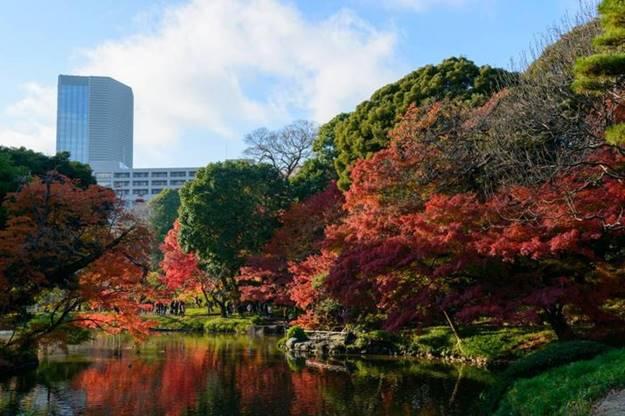 Những khu vườn đáng kinh ngạc trên thế giới-6