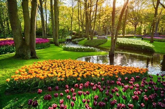Incredible gardens in the world-10